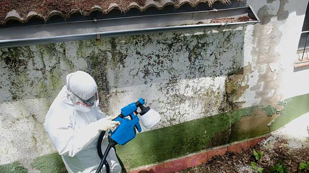 Trusted Mold Inspection service in Ridgefield Park, NJ - Cheap Mold Removal
